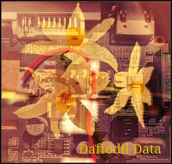 Daffodil Data