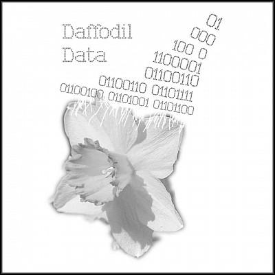 Daffodil Data