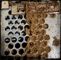 Dust